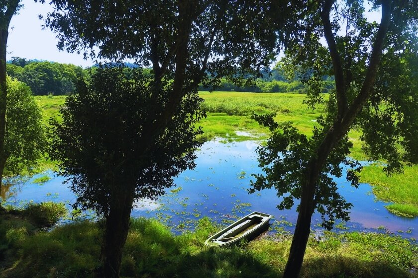 Image gallery